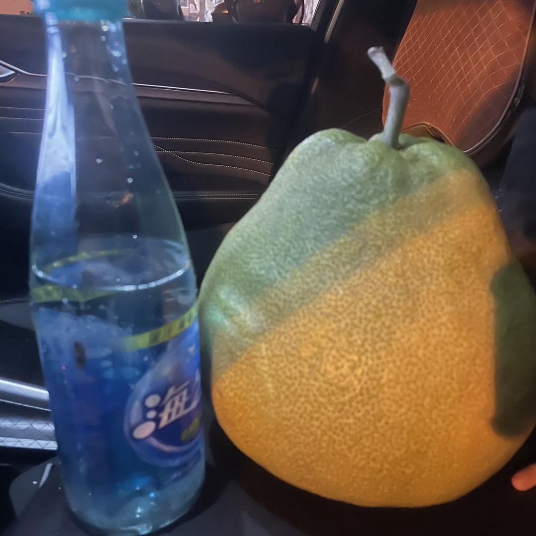 度尾文旦柚