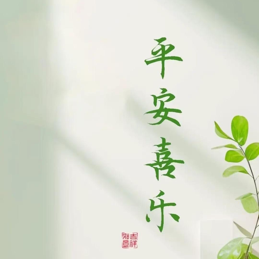 梅子的生活日记