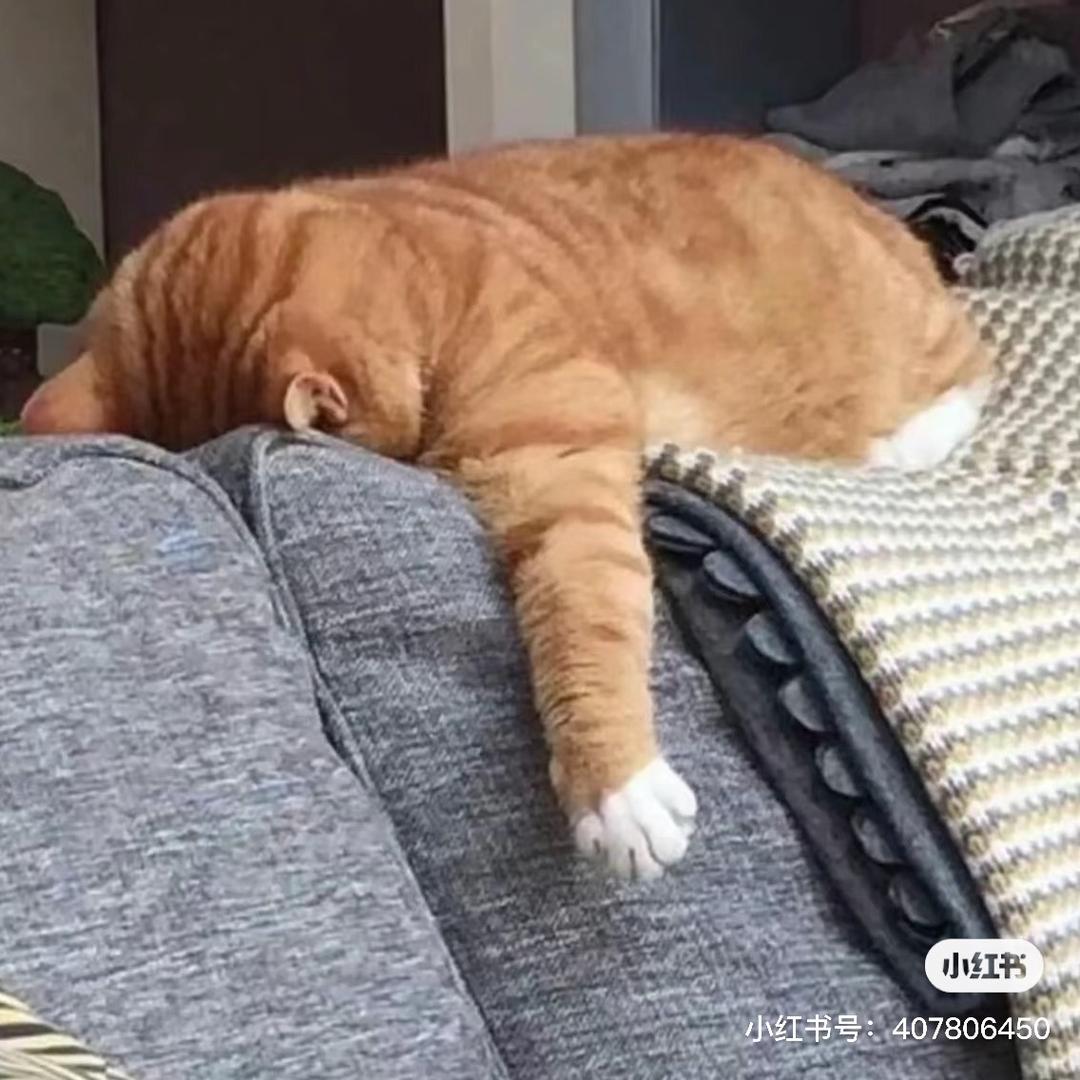 九点准时睡