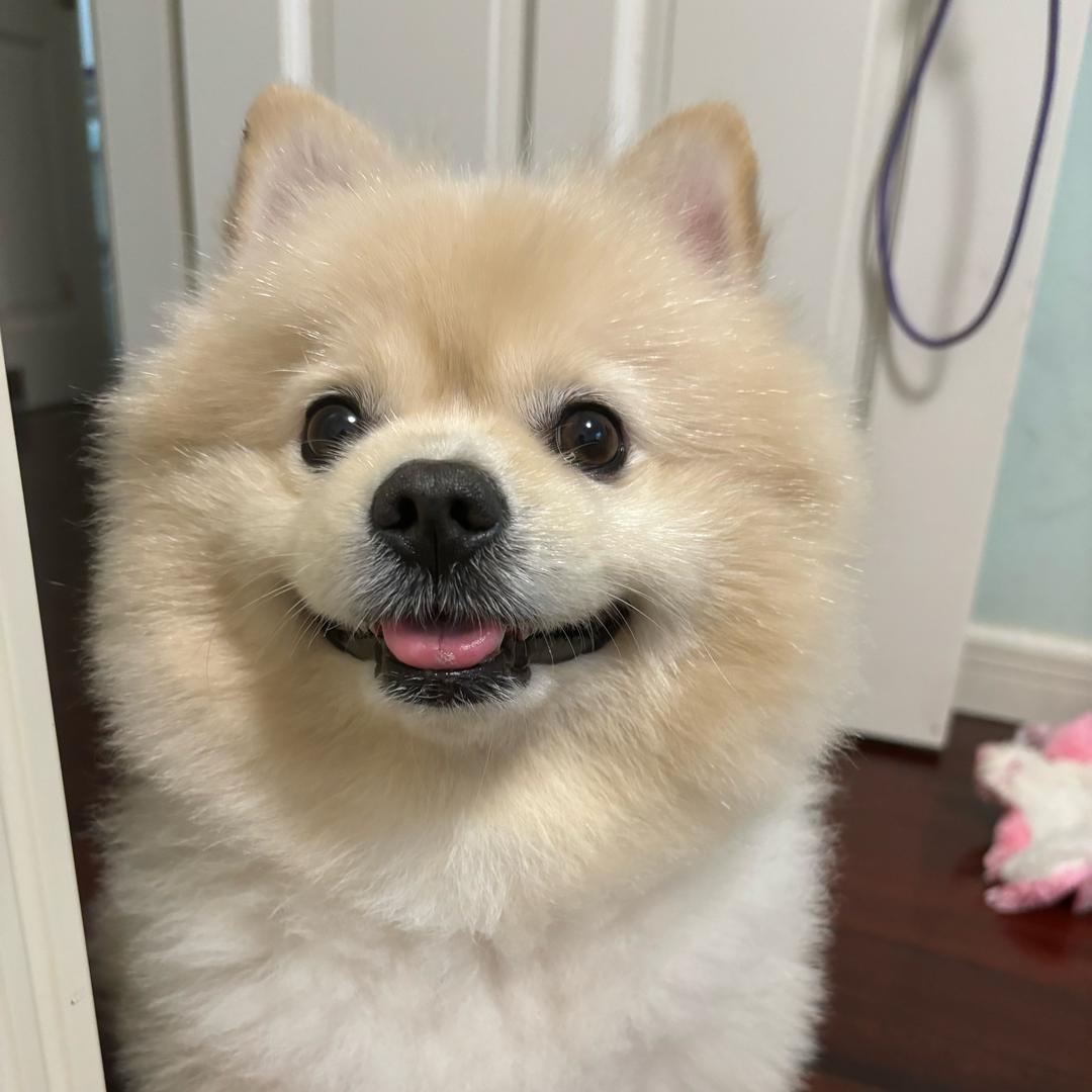 0圆滚滚0