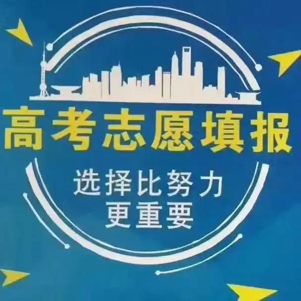 志愿填报-陈老师
