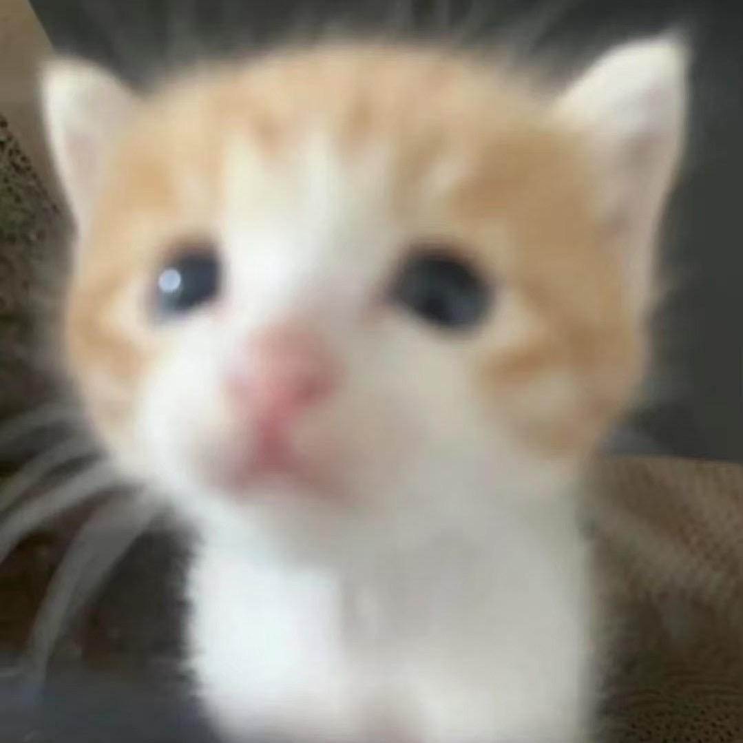 457
