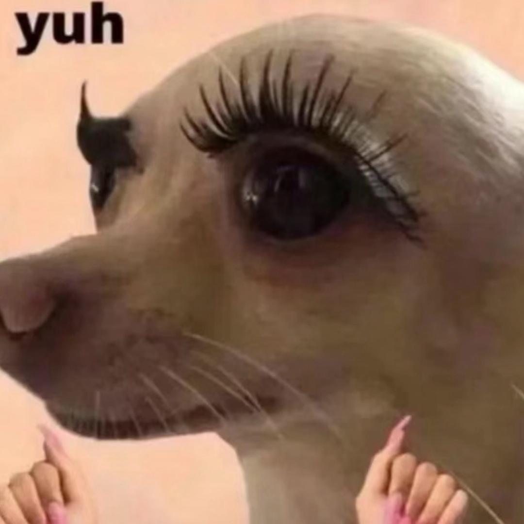 啦啦啦