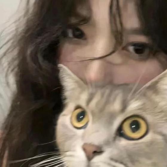 小y小y