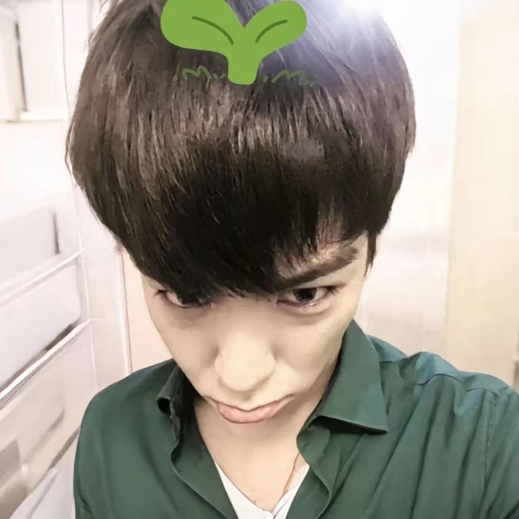 ꔛ 🍀쑨위안 🍃☆*ﾟ