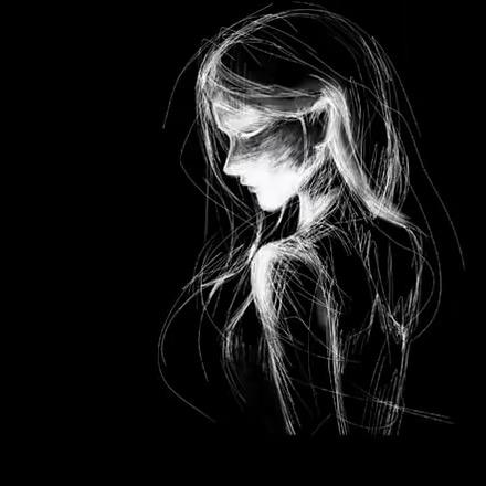 Lilium
