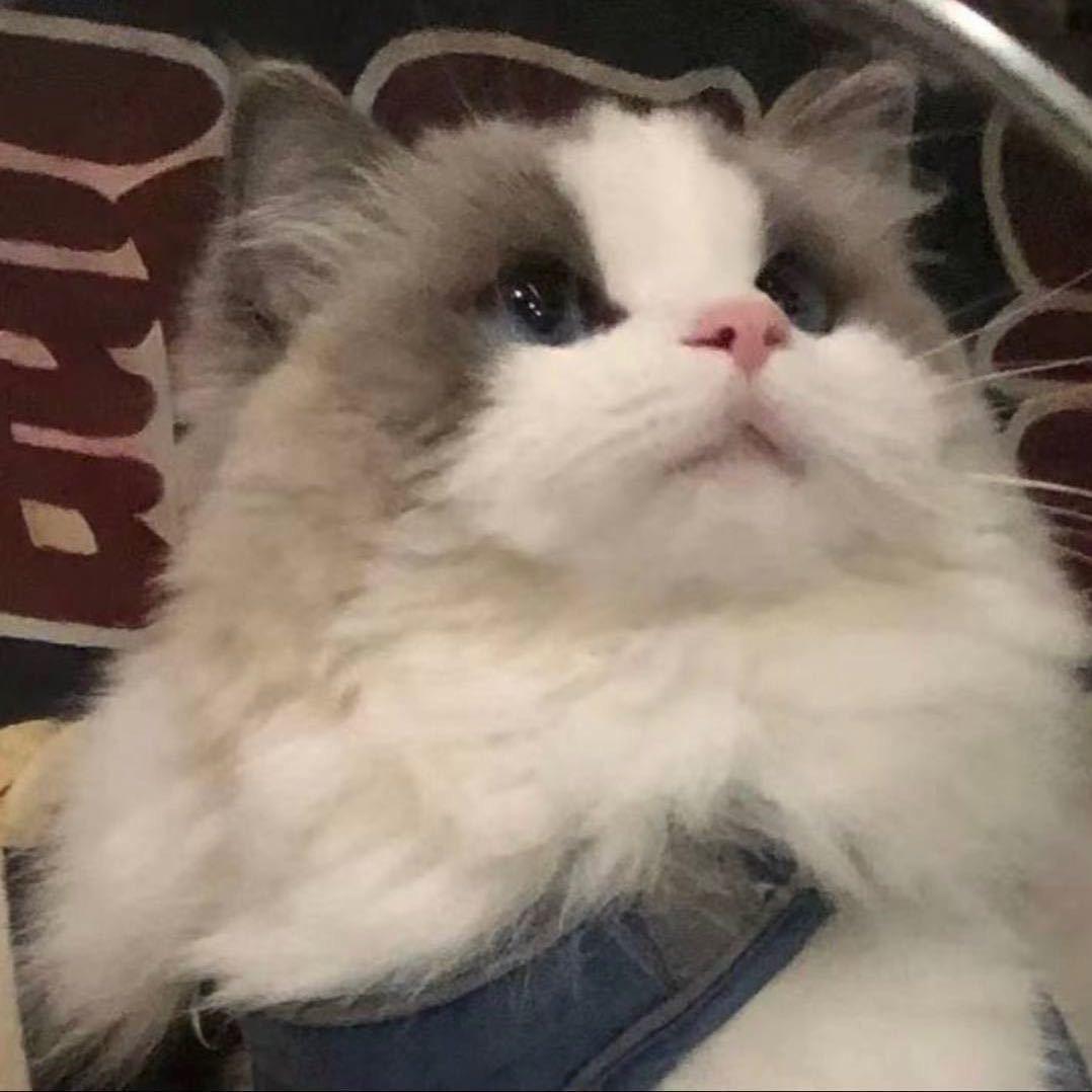吃