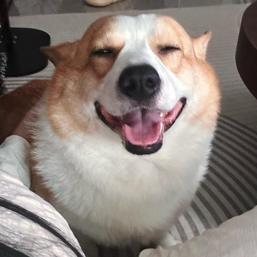 静香