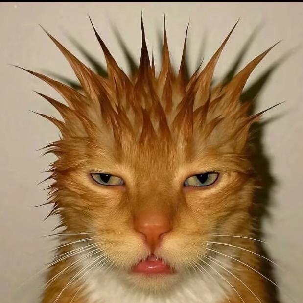 七八九十七十二