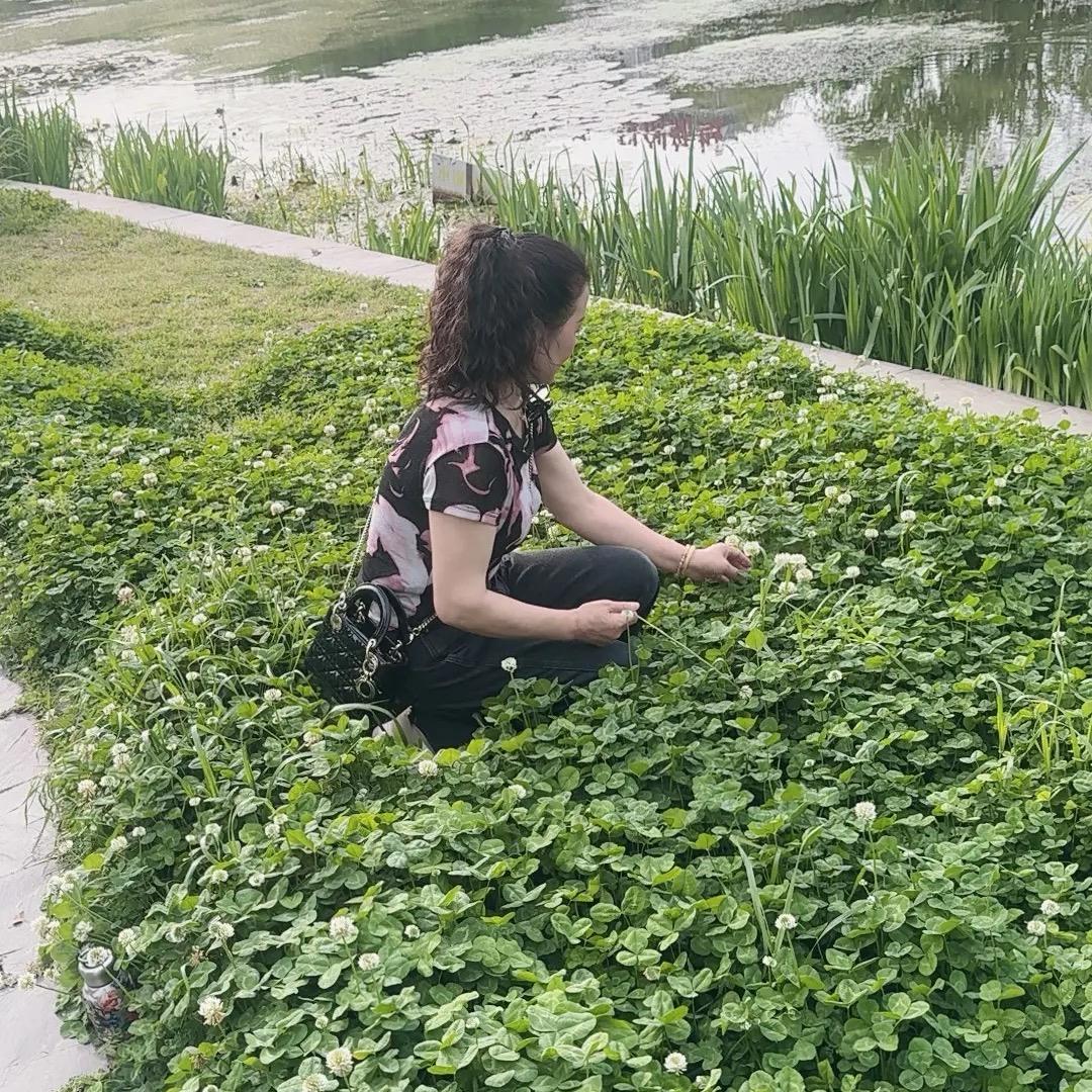 🍒萍萍🍒骑着猪追嫦娥😂