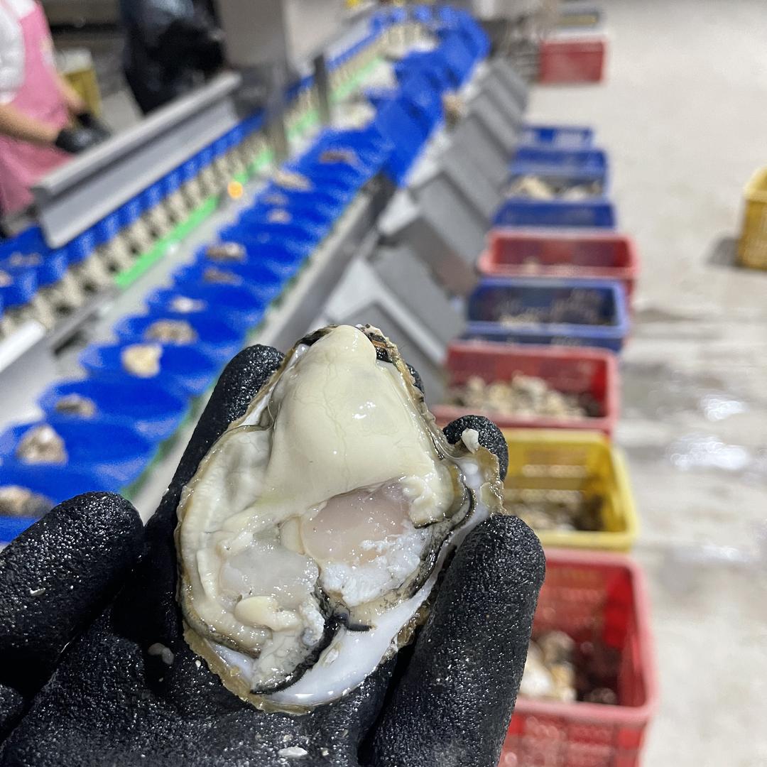 东夷鲸鲜海鲜店