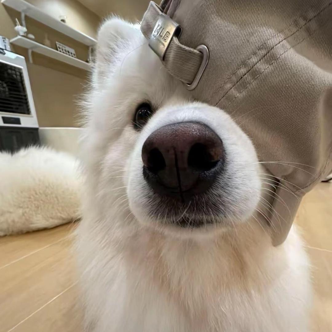 十二、