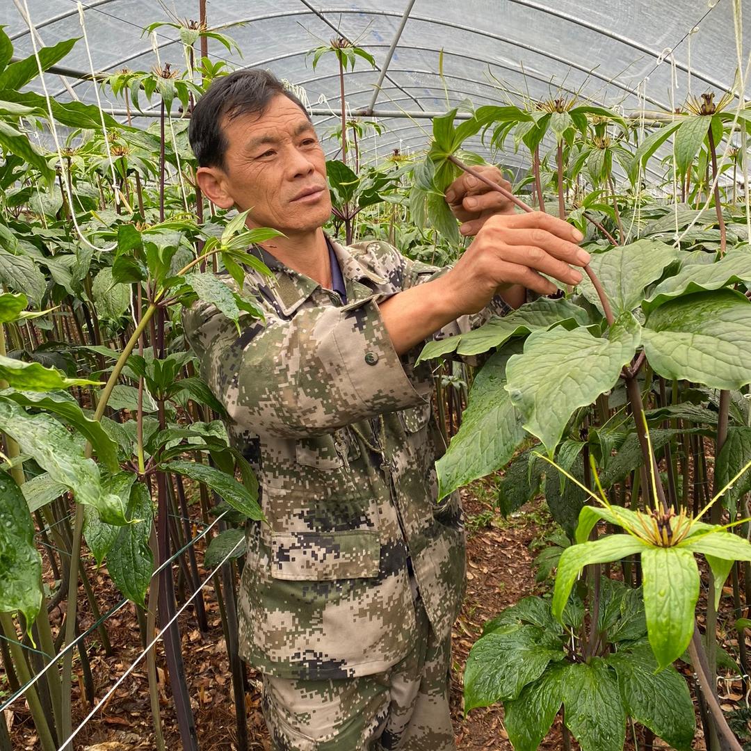 兴显农业