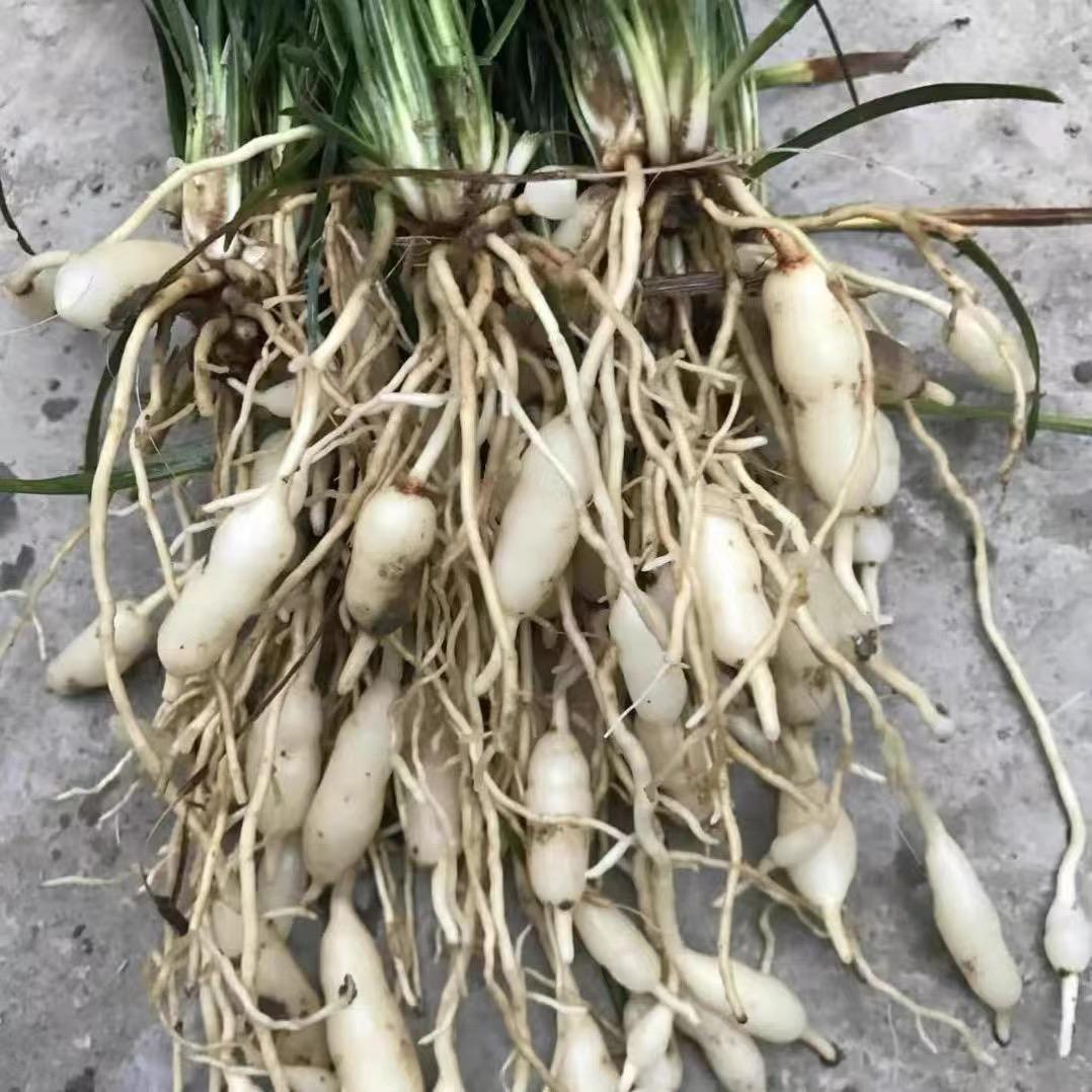 三台县星火家庭农场