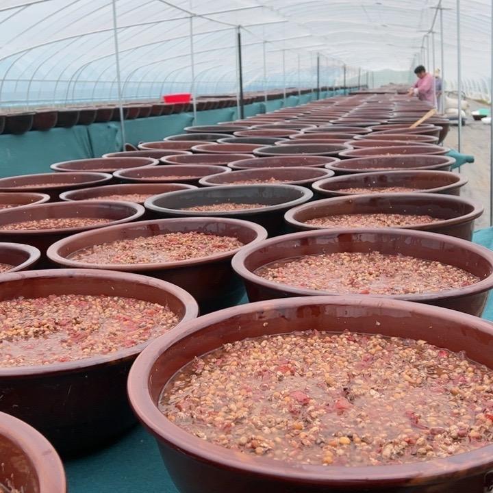 河南风味