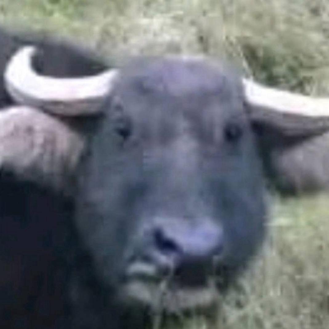 我再也不搞抽象了