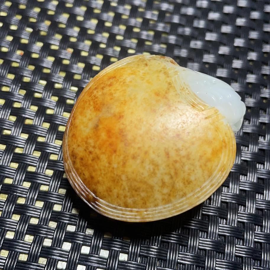 和田一线籽