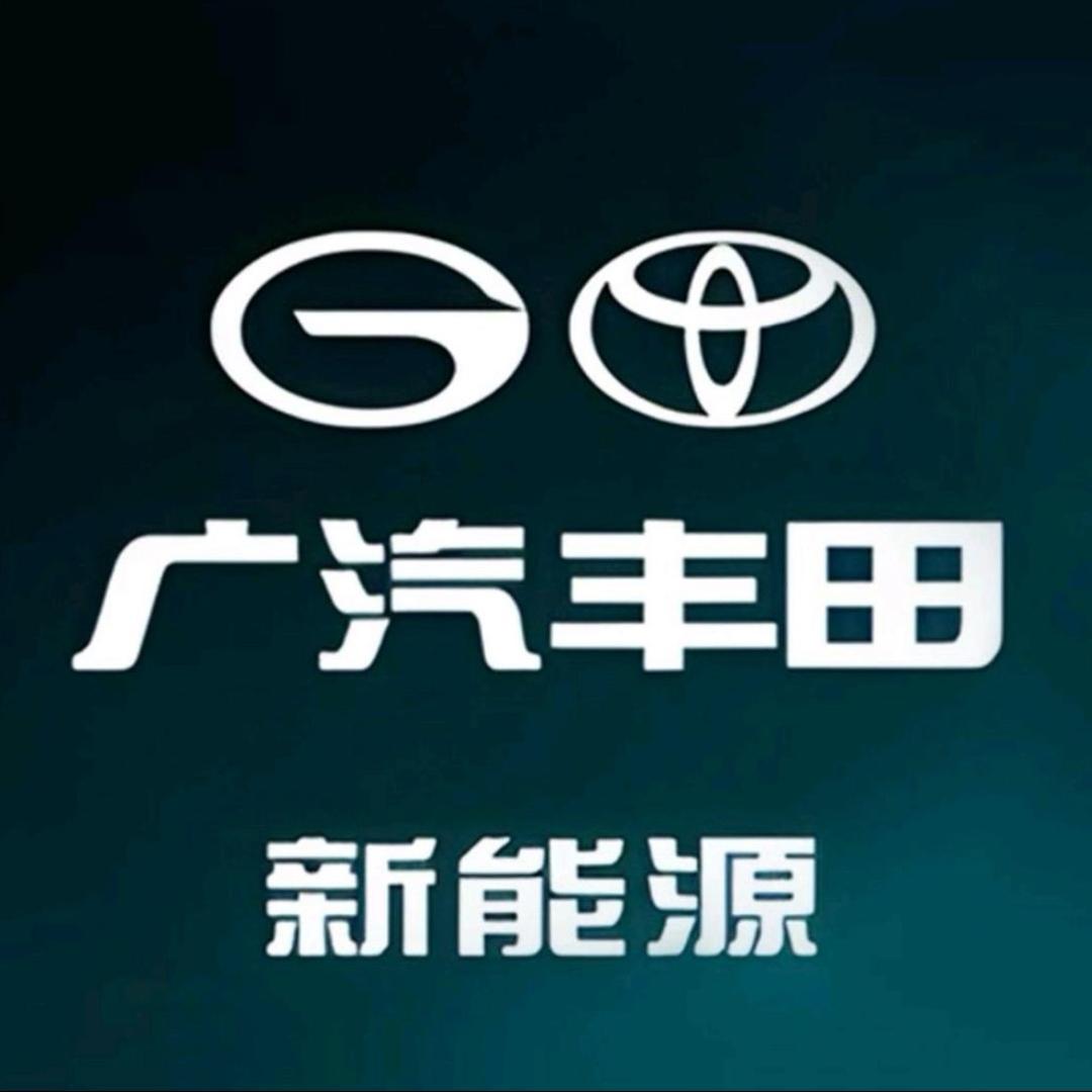 广丰银川新迈轮丽景新能源