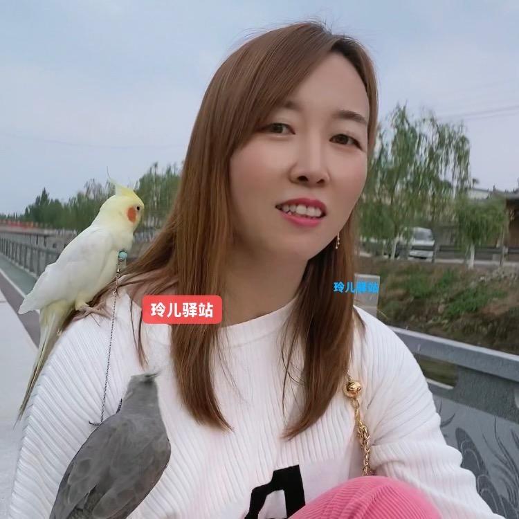 玲儿驿站🐦