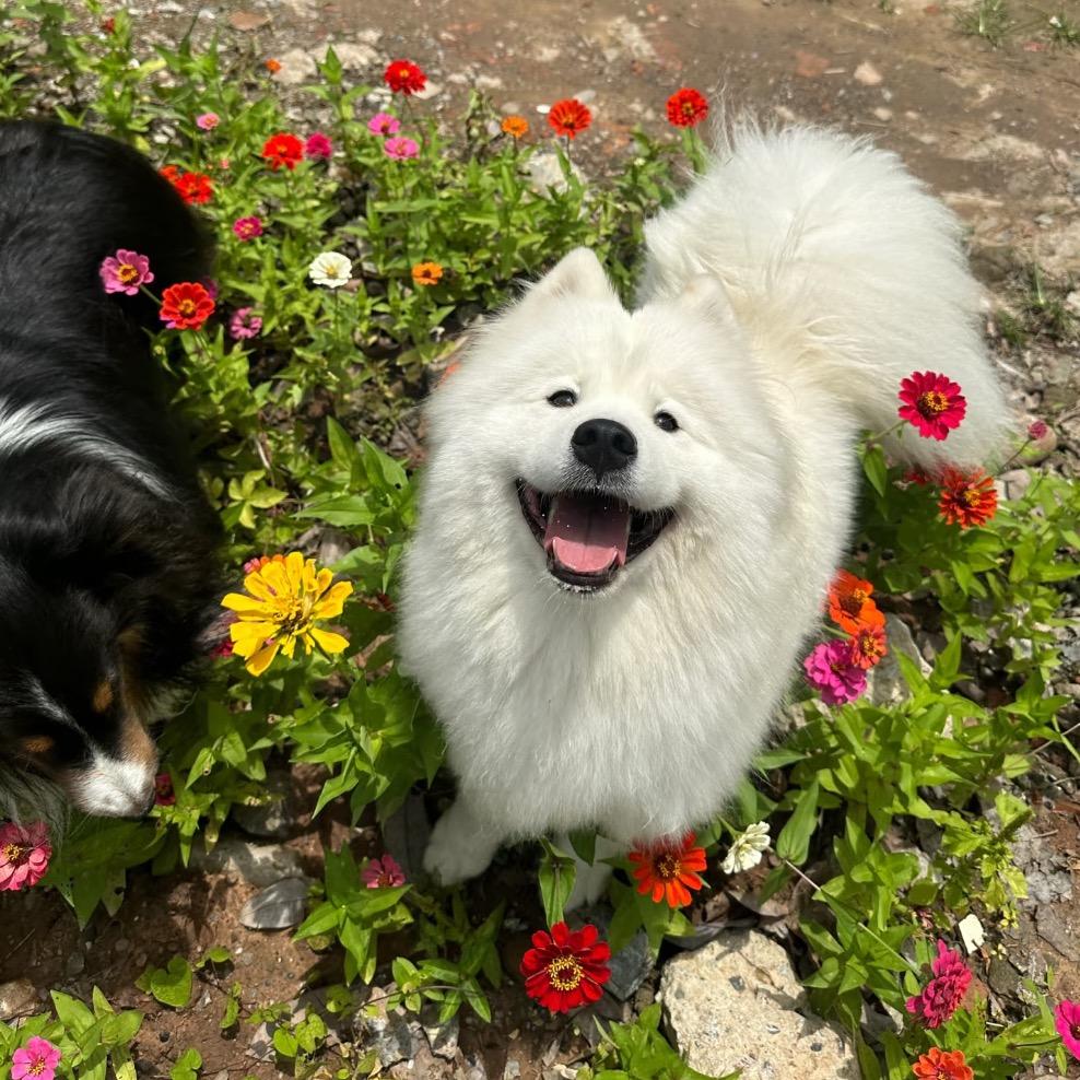 你俩快点kisssss呀