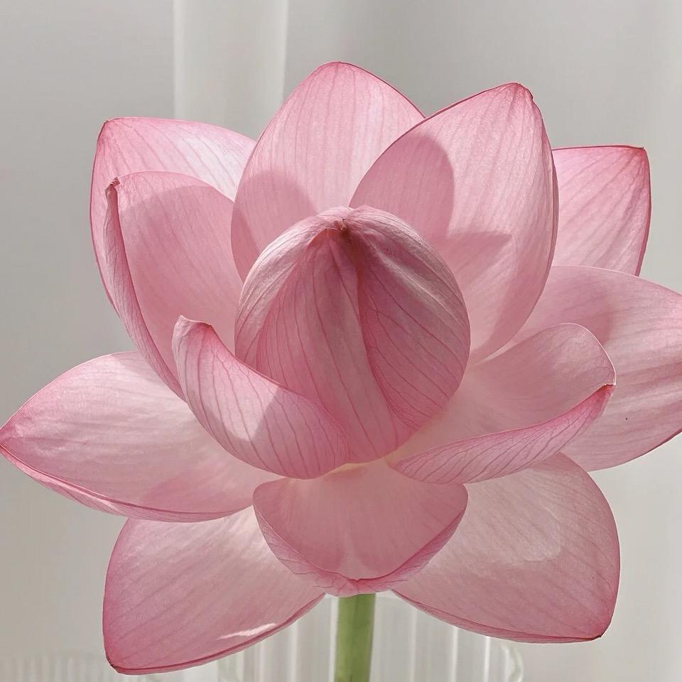 宏粤汽保的头像