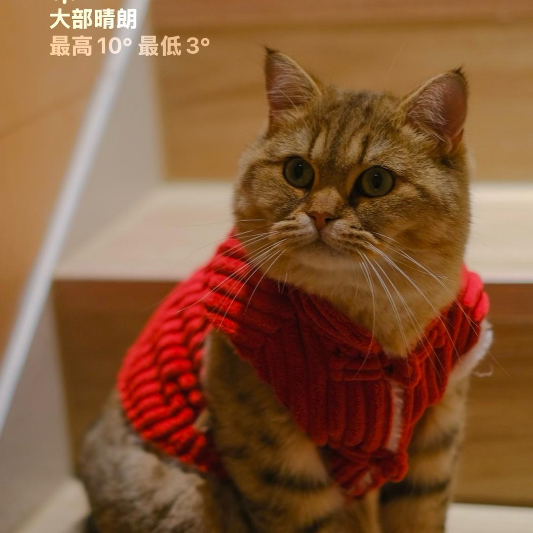 错过了就一辈子
