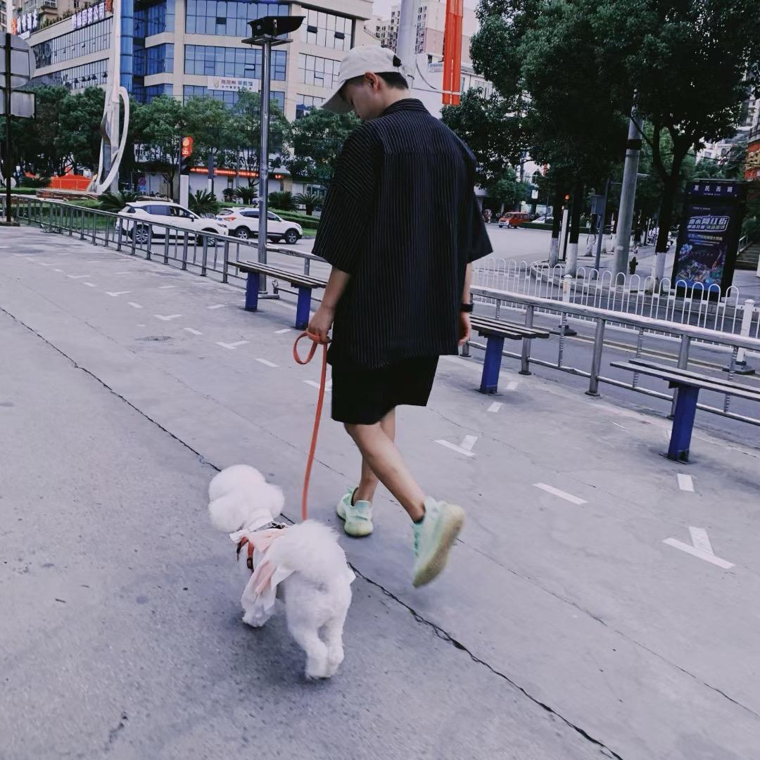 逃离宫廷的东厂公头像