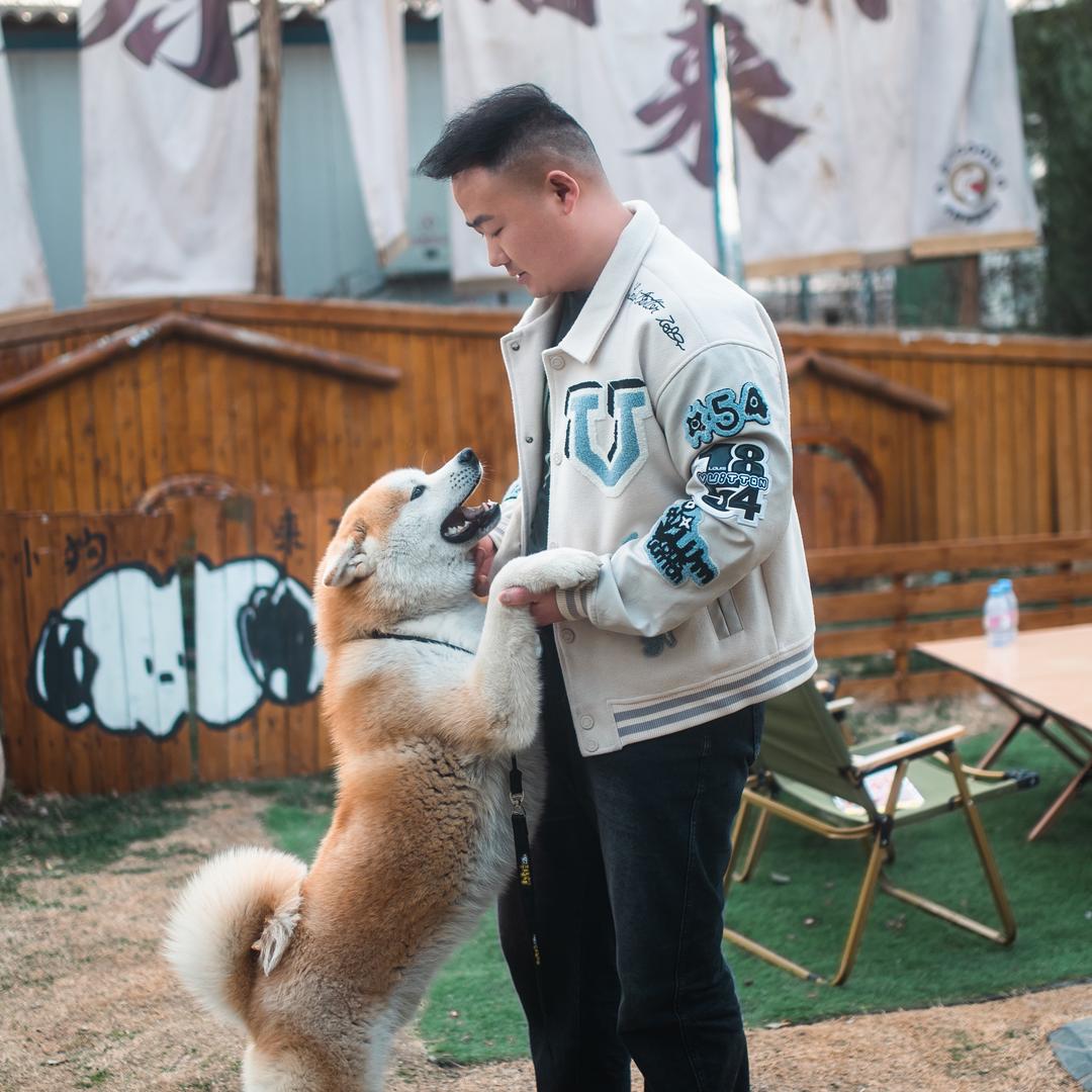 洛奇·宠物账号变现