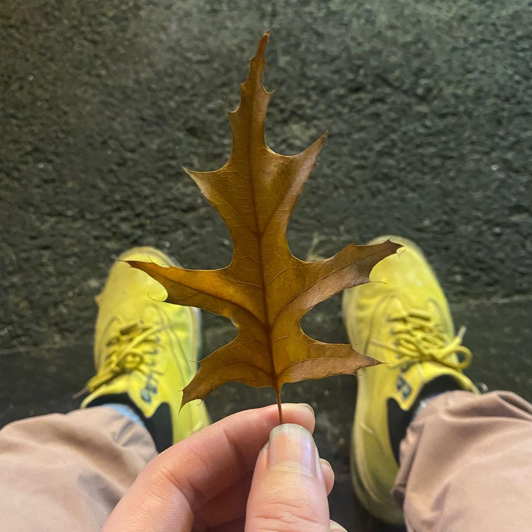 薄荷本心凉i头像