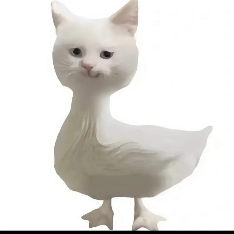 你是代笔