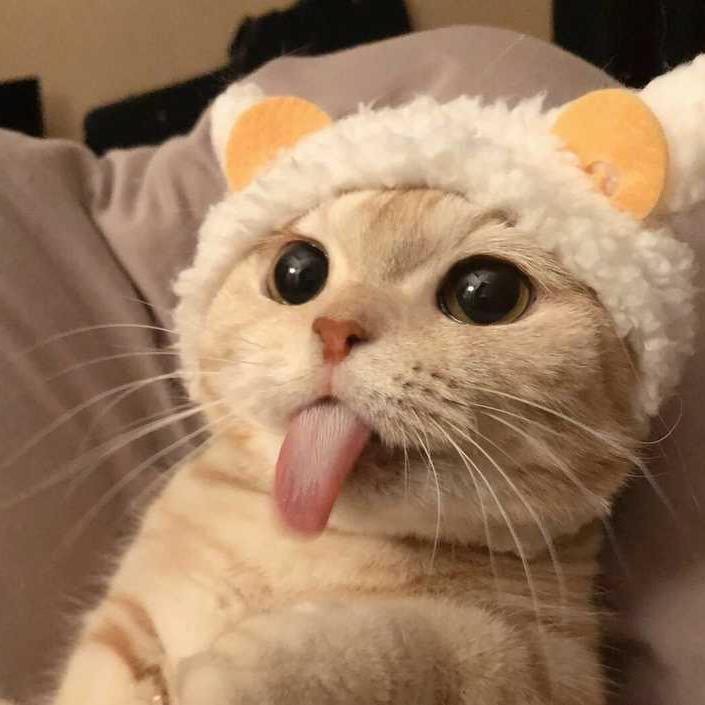 tut