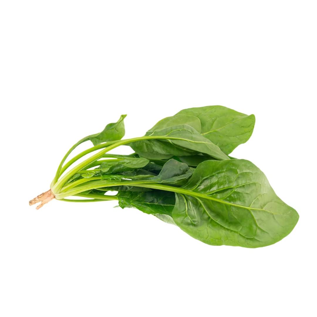 菠菜