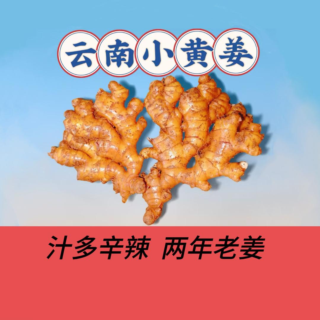 罗平农家女秋秋