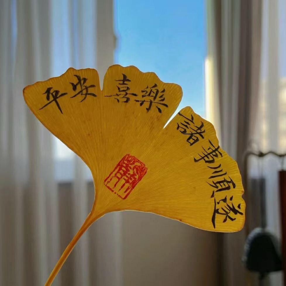 捡起一片落叶🍃