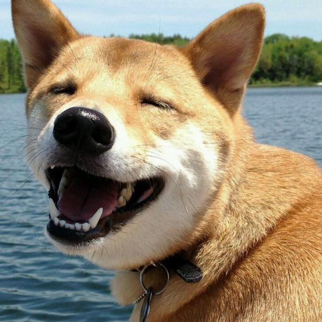 见过花开