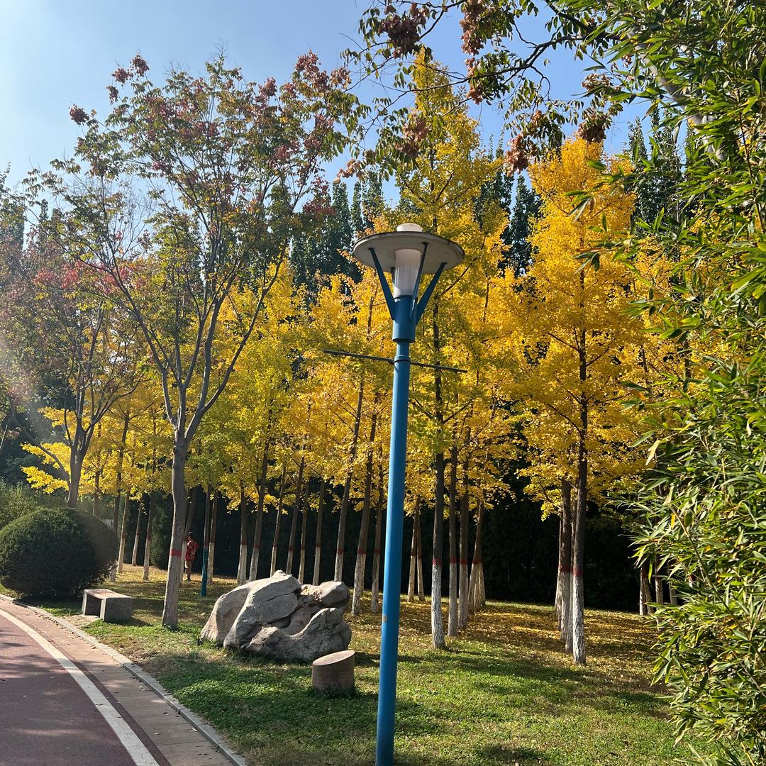 气泡水