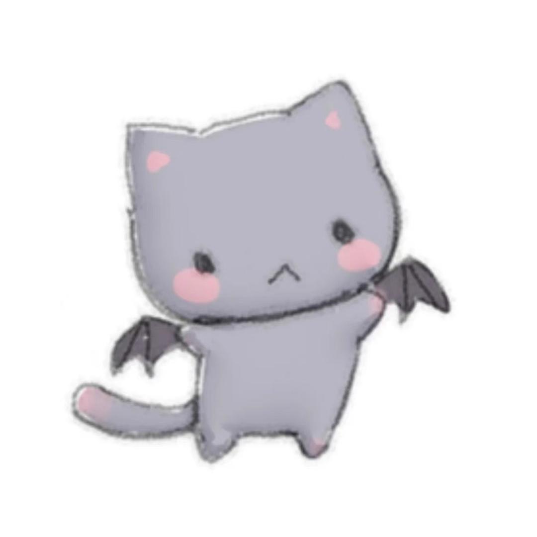 kitten电竞