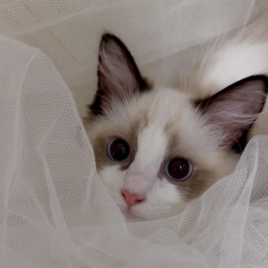 我好久没吃麻辣烫了