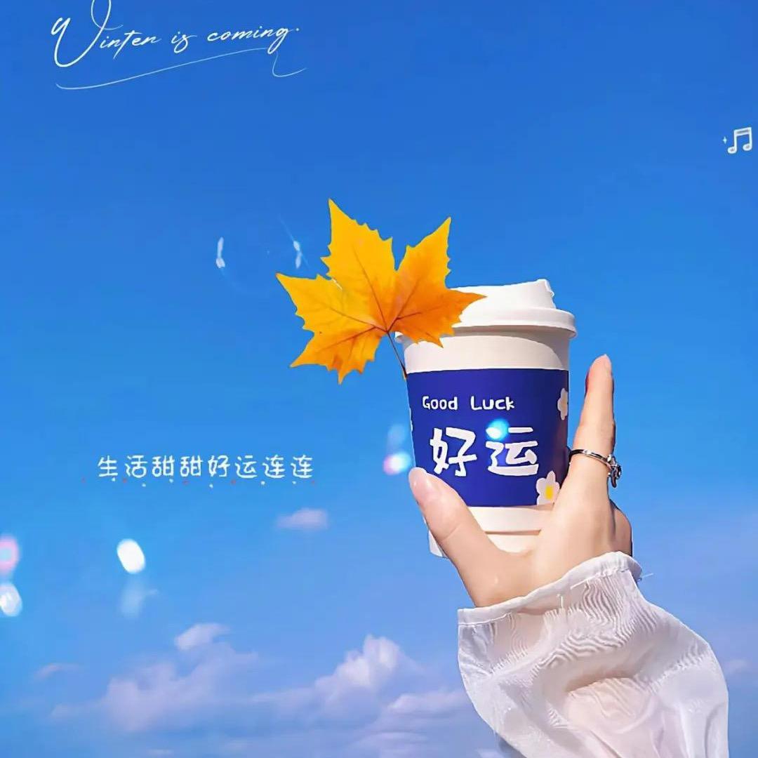 乐乐好物