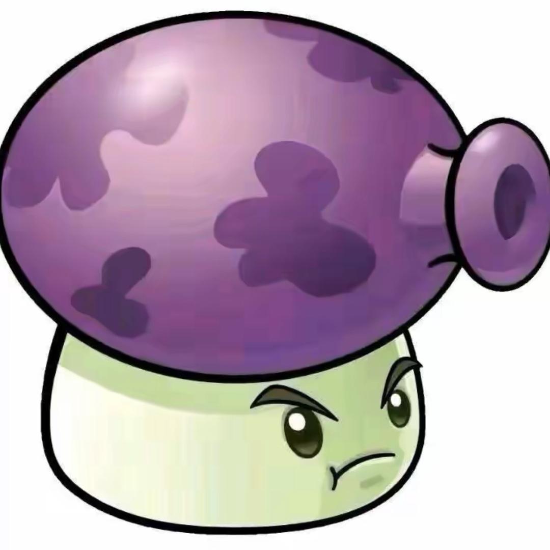 🟣🟣🟣🟣🟣🟣🟣🟣🟣