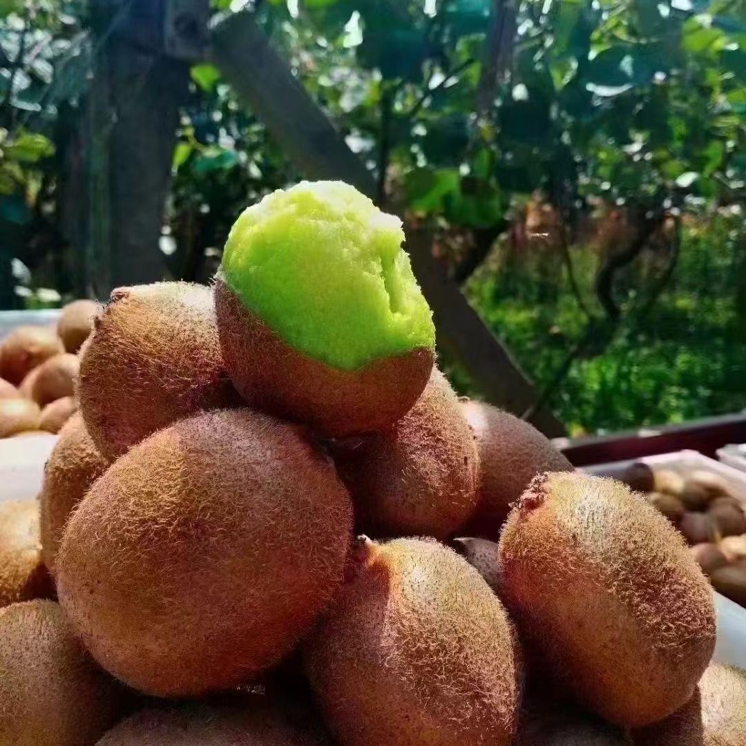 果约
