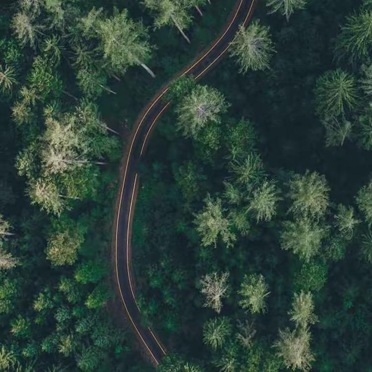 雨后彩虹