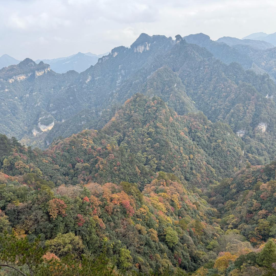 丰榕堂-何老师