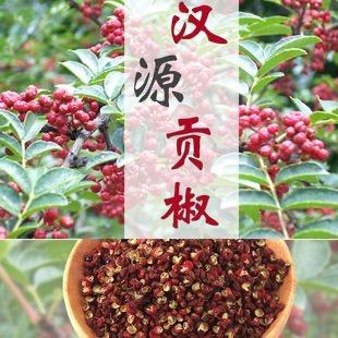 汉源贡椒