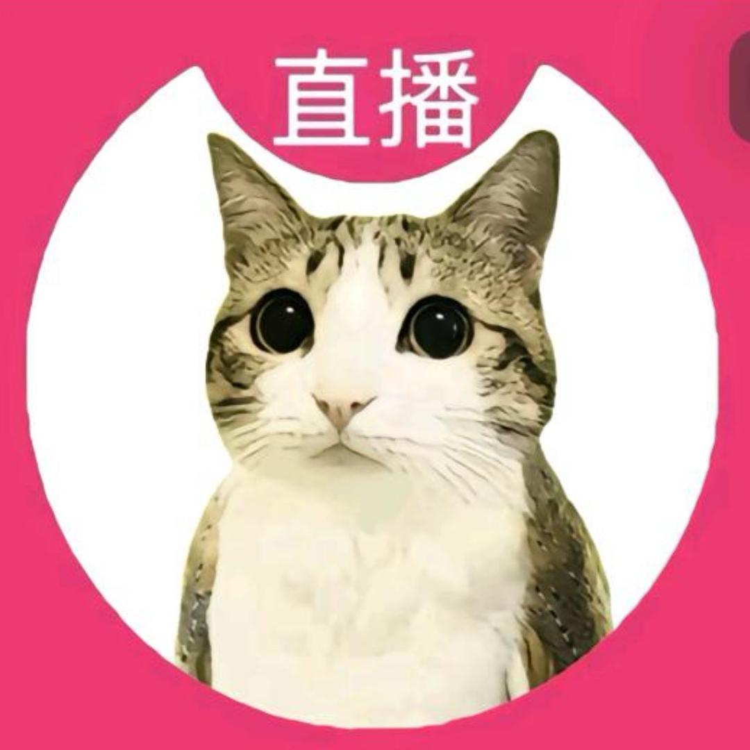 一只伤感的企鹅