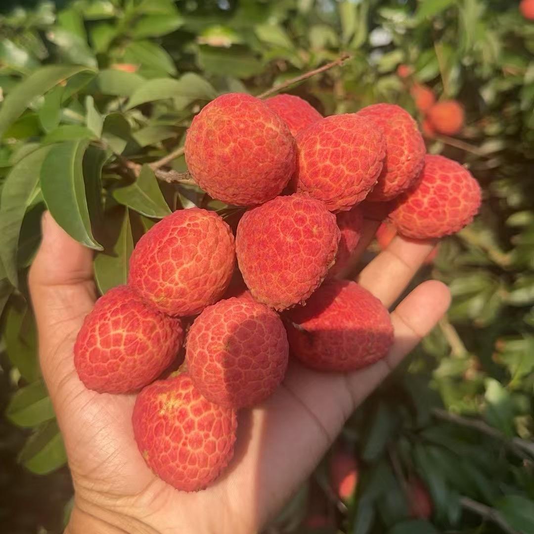 盛记岭南生鲜店