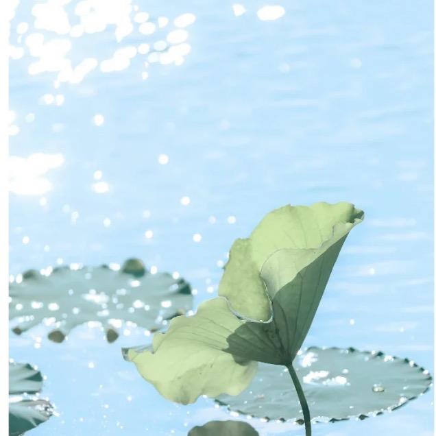 二点水