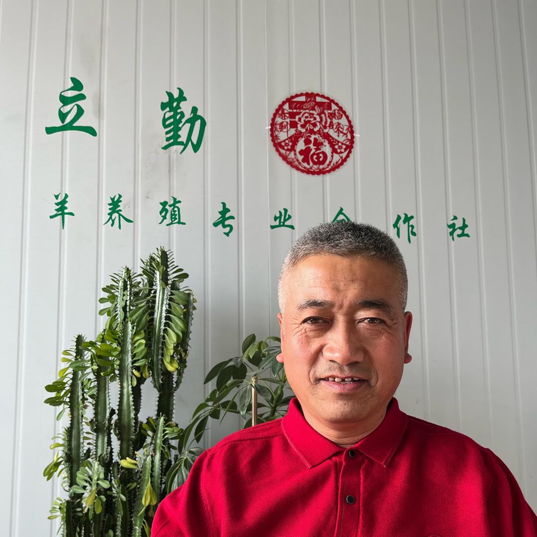 安达老曹专业养羊