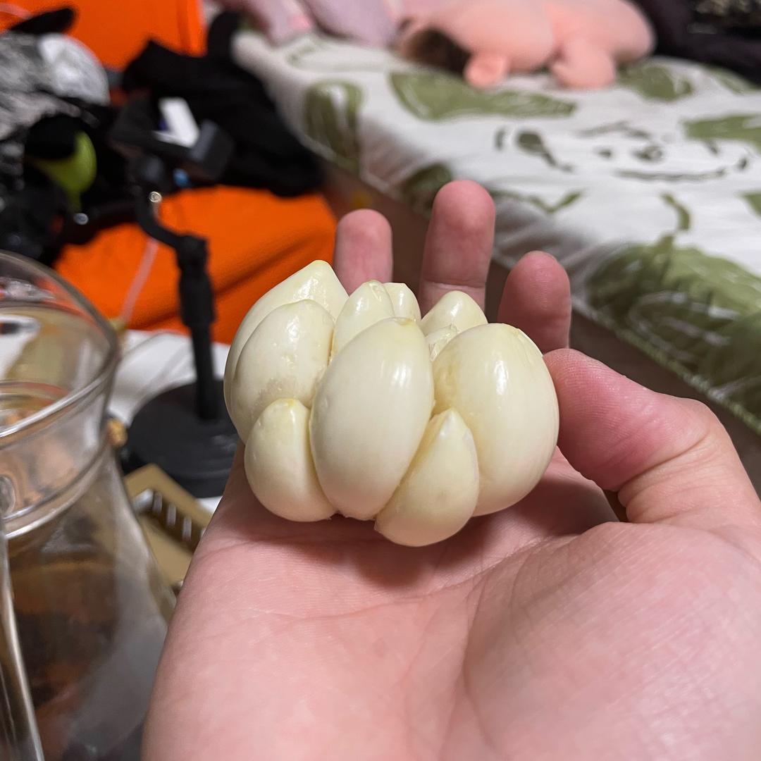 趴趴菜
