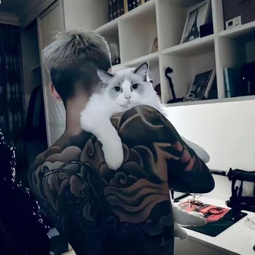 男英雄累了